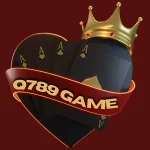 Q789 Game