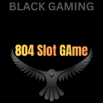804Slot Game